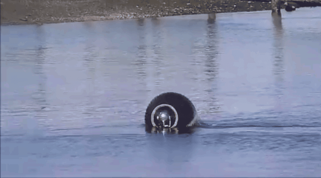 IntelligenAmphibious Spherical Robot