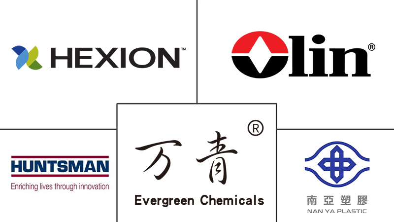 global-epoxy-resin-market-industry-1752223246494-major-players.jpg