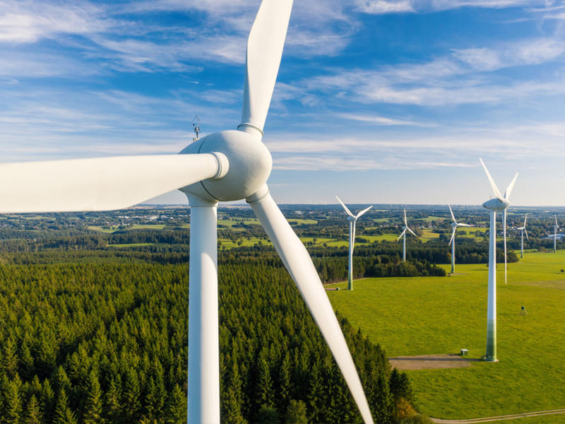 Wind turbine blades.jpg